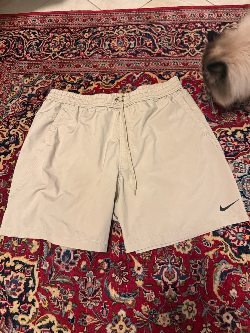 Nike Men’s Beige Athletic Shorts with Black Swoosh